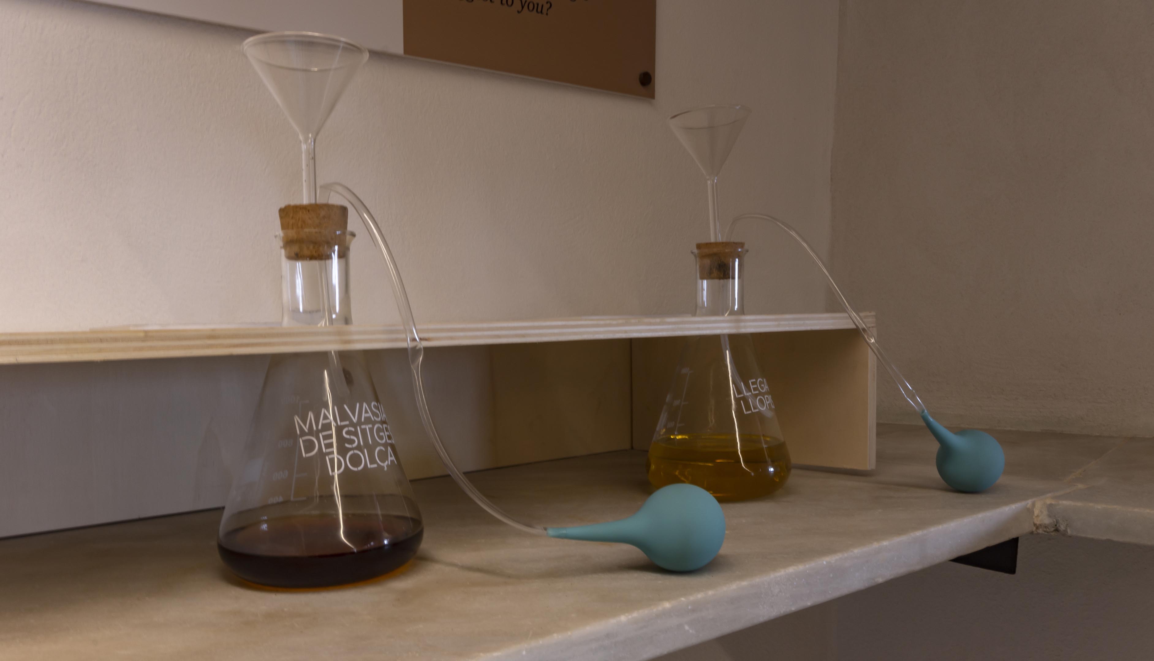 interpretation-center-malvasia-sitges-spain-image-17