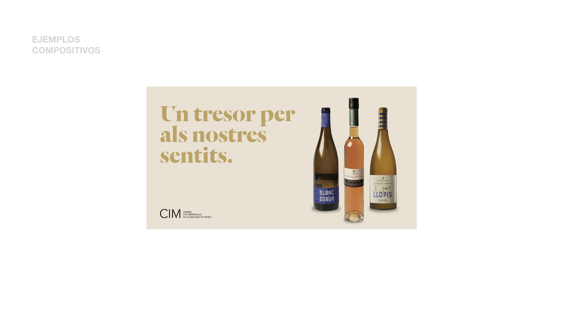interpretation-center-malvasia-sitges-spain-image-31