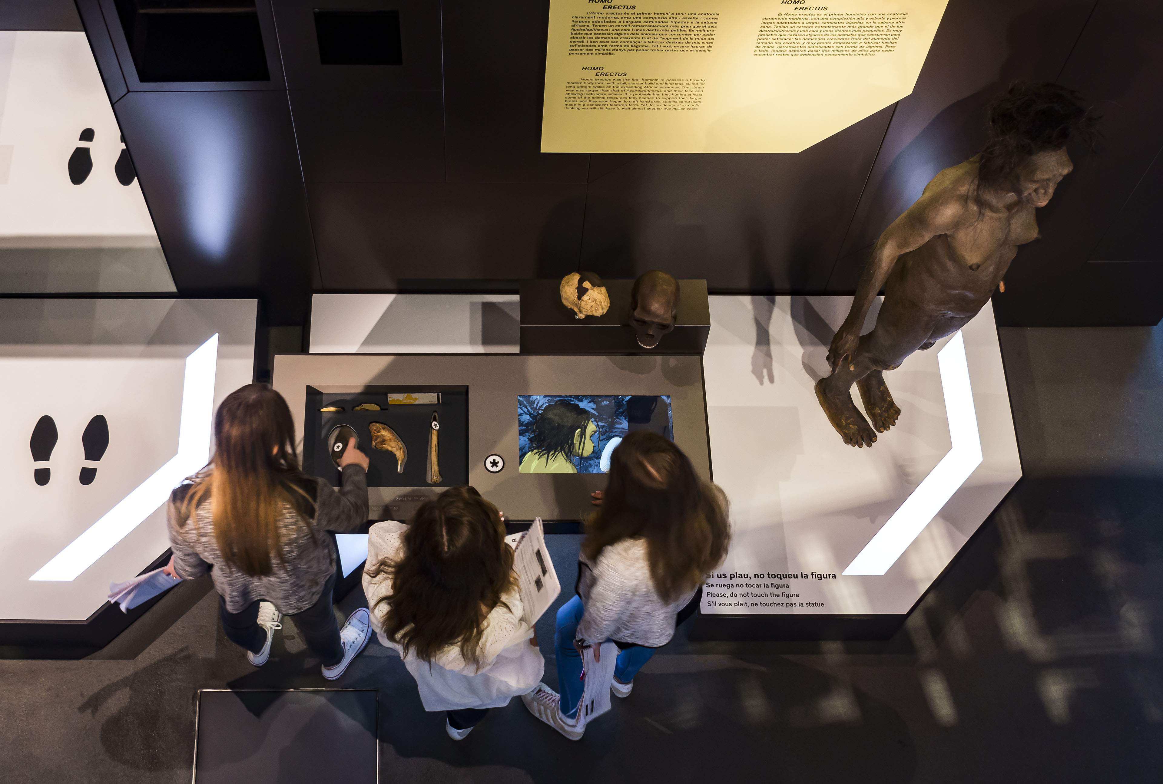 interactive-exhibition-talking-brains-cosmocaixa-barcelona-spain-image-23